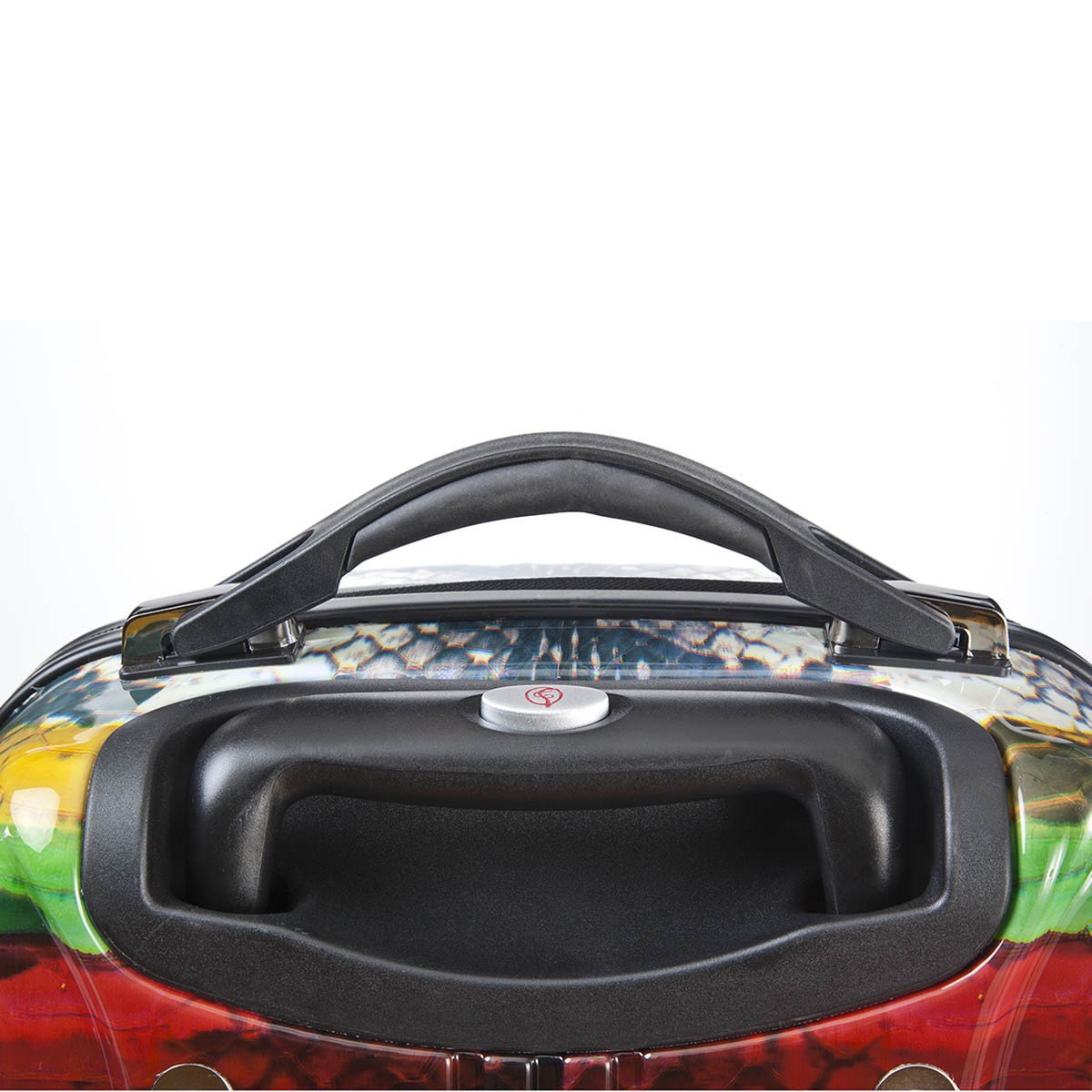 Carlos Falchi Luggage Set (2 Pieces)